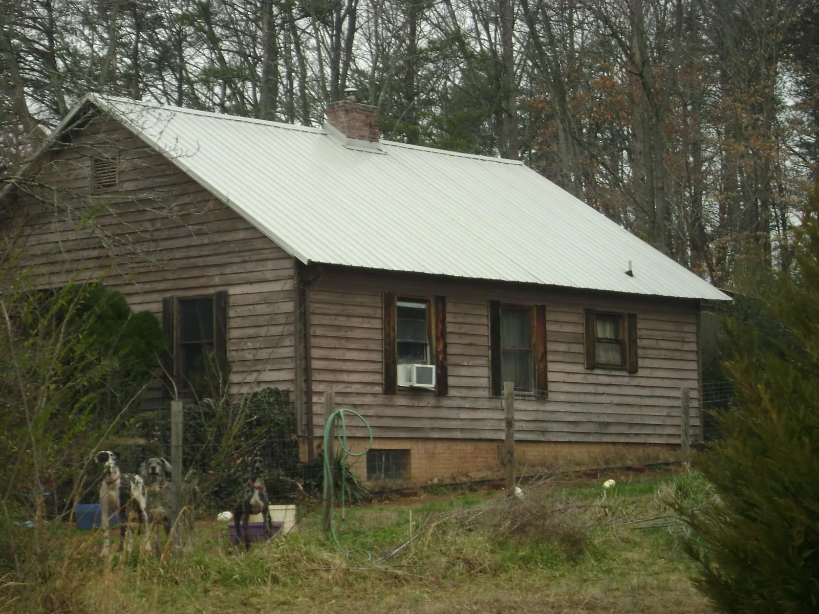 White metal roof on an old wood sided farmhouse, from a Asphalt Shingle Roof Repair job in Albion